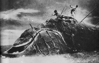 The Whale God in The Whale God