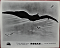 British Rodan lobby card