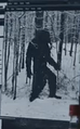 A picture of Bigfoot among Bill Randa's files after being decrypted