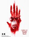 Brazilian Skar King teaser poster