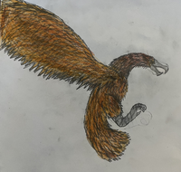 Giant Condor