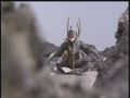 Gigan meditates