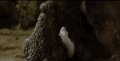 Kong kills Gorosaurus by breaking its jaws