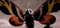 FW Mothra (2004)