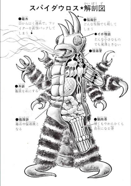 File:Spideros Anatomy.png