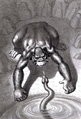 Kong and the giant snake