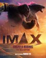 Indian IMAX poster