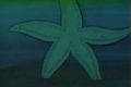 The Giant Starfish