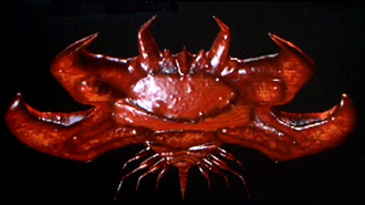 A Crawl Form Destoroyah in Godzilla vs. Destoroyah