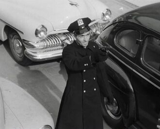 Policeman think's he's him