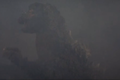 Godzilla bleeding after getting hit in the face by the Godzilla Tower's laser beam