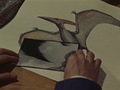 A portrait of a Pteranodon is compared to a photograph of Rodan's wing