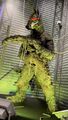 Gigan's Mummified suit on display in 2022
