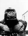 The live-size bust of King Kong's upper body used in the film