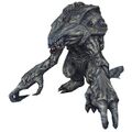 Orga