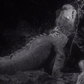 The Two-Legged Lizard in Peter Jackson's recreation of the lost spider pit sequence from the 1933 film