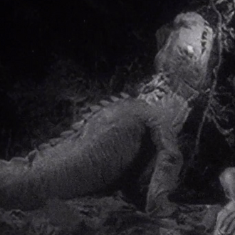 The Two-Legged Lizard in The Lost Spider Pit Sequence