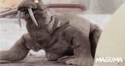 Maguma image gallery | Wikizilla, the kaiju encyclopedia