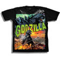Boys Short Sleeve Graphic T-Shirt