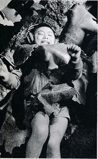 The Maneater in All Monsters Attack