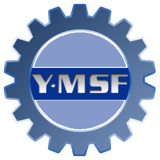 Y-MSF