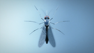 A Robosquito in Robosquitoes