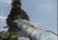 Godzilla rips off Zandora's tail and hits him with it