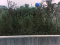 The bowling ball mysteriously flies into the air