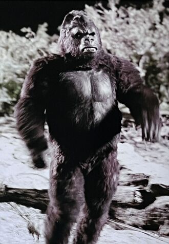 King Kong in King Kong (1976)