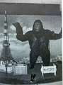 The 1967 King Kong suit, under the name "King Gorilla," displayed at a public event next to a model of Tokyo Tower