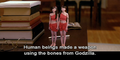 The Shobijin warn Chujo that the use of Godzilla's remains to build Kiryu was a mistake