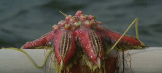 Barem in Rebirth of Mothra 2