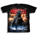 Boys Short Sleeve Graphic T-Shirt