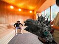 Hakone Kowakien Yunessun