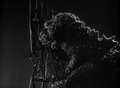 Angered by the photographers' flashguns, Godzilla destroys the structure