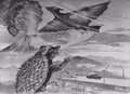 Gamera and Gyaos concept art