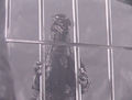 Godzilla is a prisoner