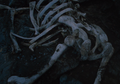 The skeletal remains of Kong's father in King Kong (2005)