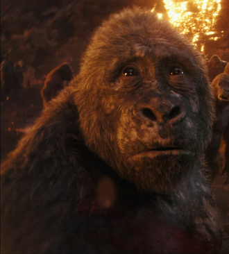 Boots in Godzilla x Kong: The New Empire