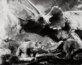 Test Footage for Creation