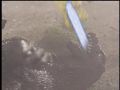 Godzilla fires his ray to no effect