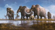 A 2025 Woolly Mammoth reconstructive painting by paleontological artist and author Mark P. Witton