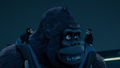 Kong and two chimpanzees