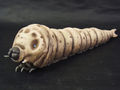 Mothra 1961 (Larva)