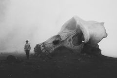 Bill Randa | Wikizilla, the kaiju encyclopedia