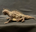 Varan