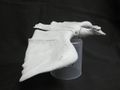 Rodan 1956 (Flying)