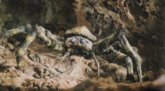 Kumonga in Son of Godzilla