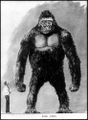 King Kong