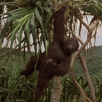 The infant Joe in Mighty Joe Young (1996)
